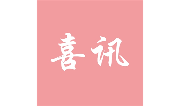 喜讯|澳门银河博彩官方网站股份策尼特940型全自动砌块成型机入选绿色矿山百项装备（技术）